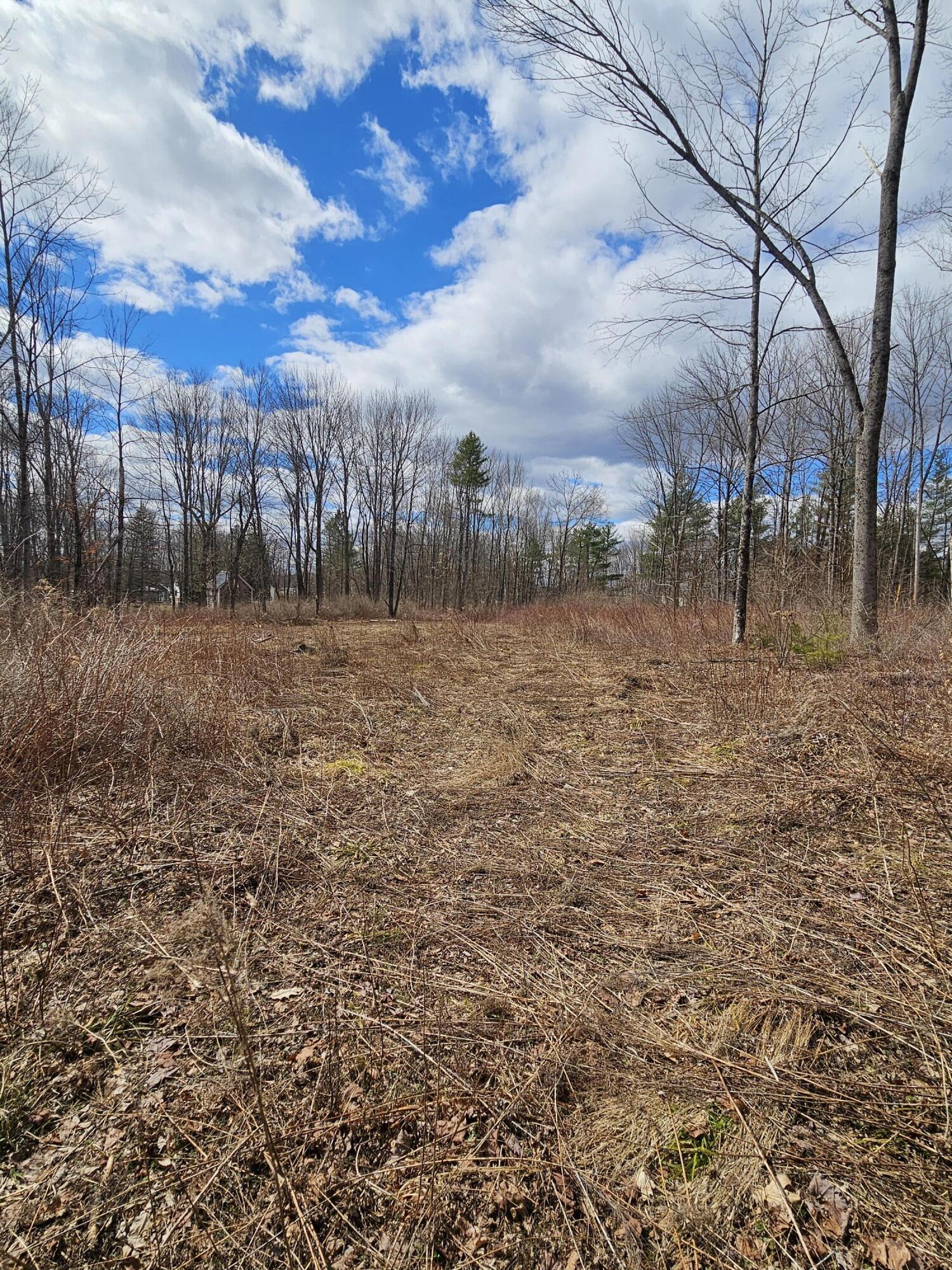 Lot 113-2 Cushman Road Winslow, ME 04901 - Photo 9 of 18 1000066956