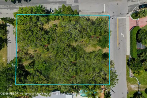 a view of a yard with plants