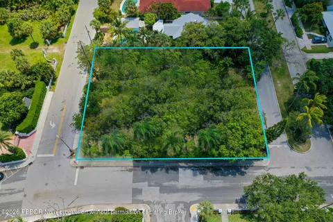 a view of a yard with plants