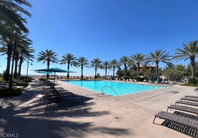a view of a swimming pool with lounge chairs