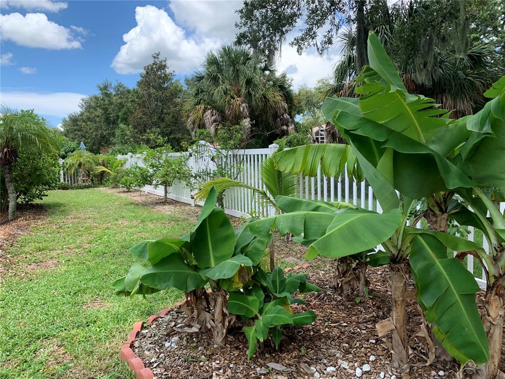10308 Holland Road Riverview, FL 33578 - Photo 55 of 66