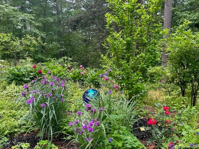 326 Pratt Hill Road Austerlitz, NY 12037 - Photo 26 of 31 a view of a flower in a garden