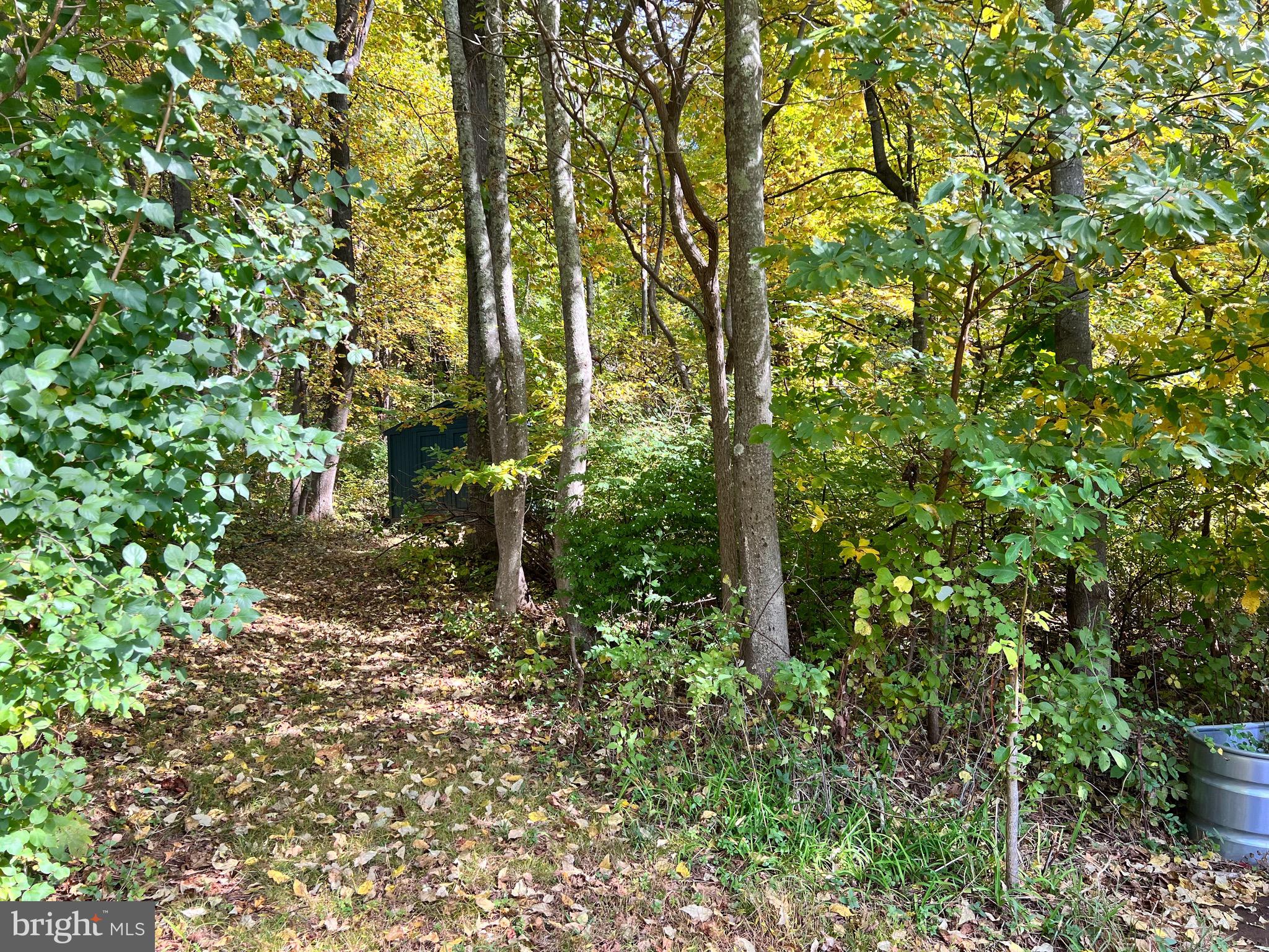 4103 Remount Road Front Royal, VA 22630 - Photo 49 of 51