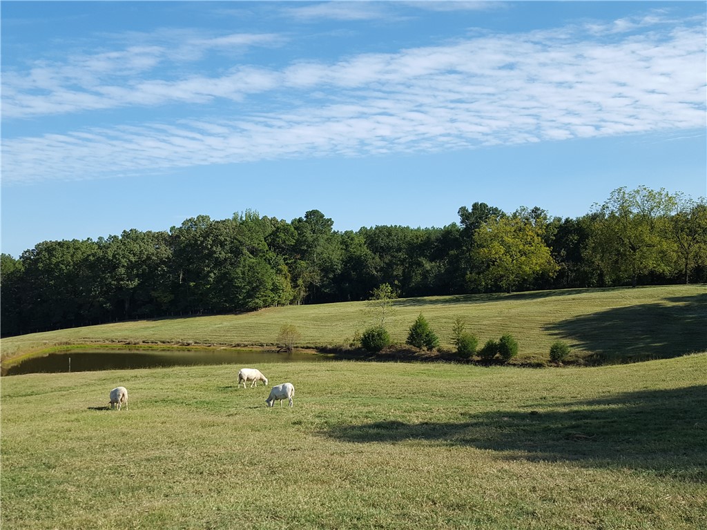 1108 Nation Road Hodges, SC 29653 - Photo 3 of 50