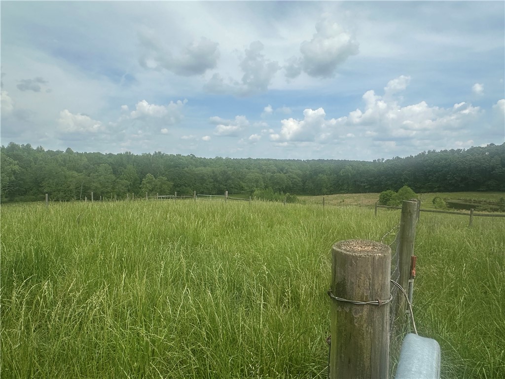 1108 Nation Road Hodges, SC 29653 - Photo 46 of 50