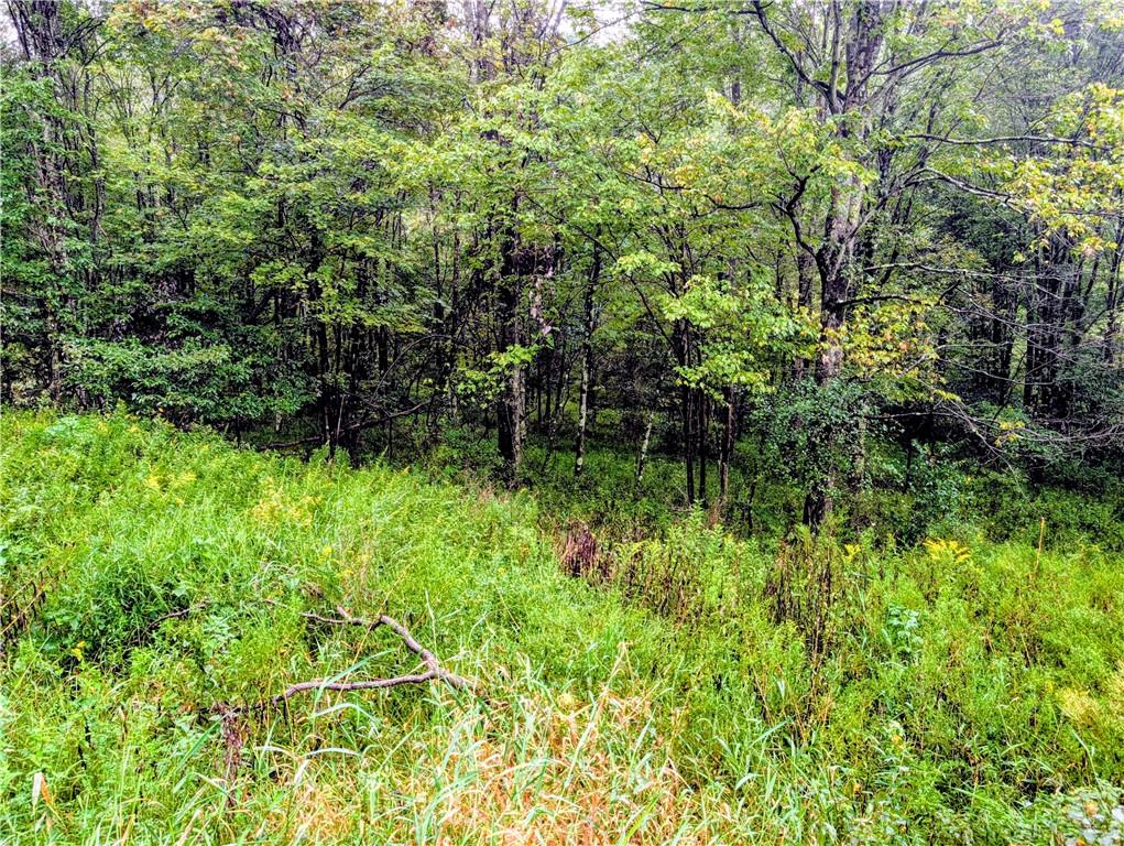 0 Little Rock Road Kittanning, PA 16201 - Photo 12 of 15 Gallery Image 12
