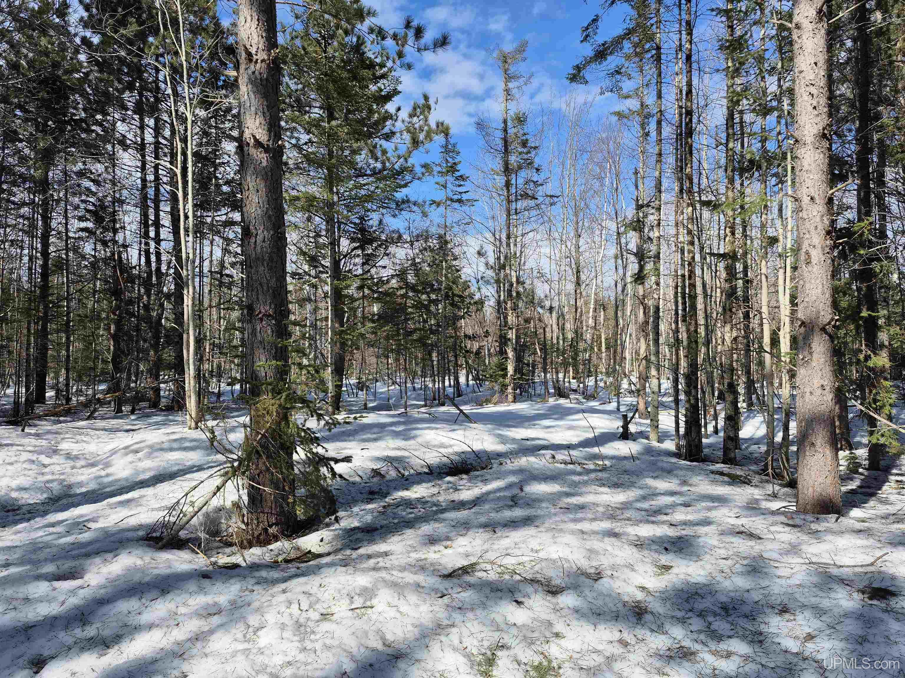 20-acres Off Flodin Road Manistique, MI 49854 - Photo 12 of 29