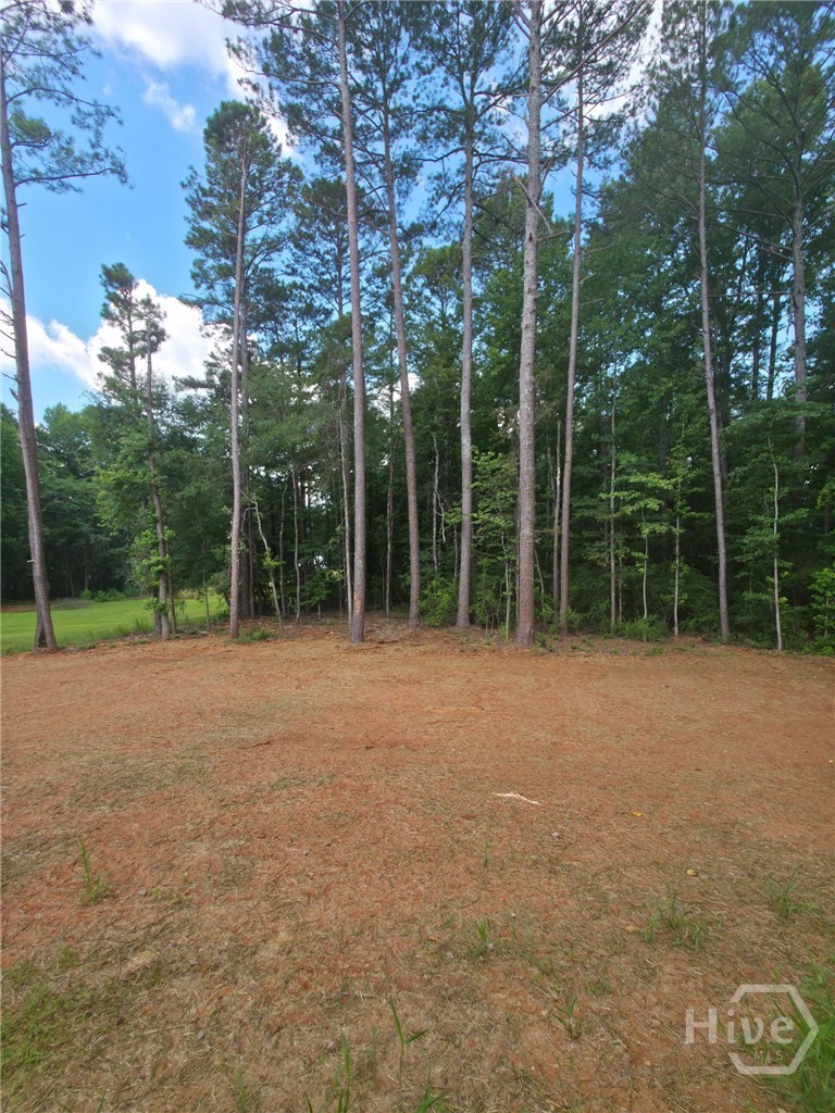 117 Dove Valley Lane Athens, GA 30606 - Photo 20 of 22