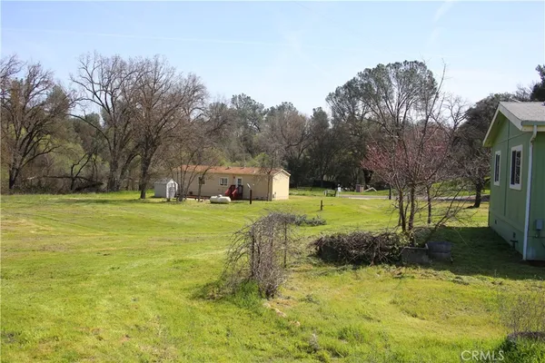a view of a grassy field with trees in the background