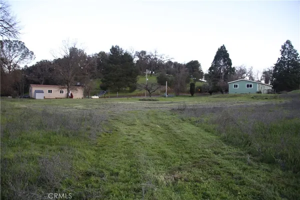 a view of a field with trees in the background