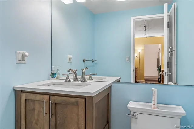 a bathroom with a sink and a toilet