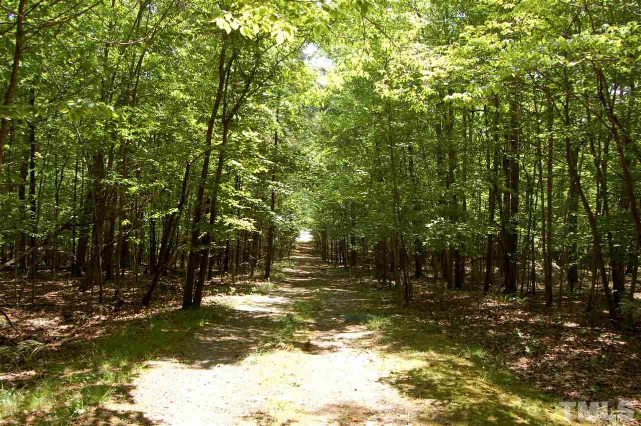 804 Valetta Road Durham, NC 27712 - Photo 24 of 28 a view of a yard with large trees