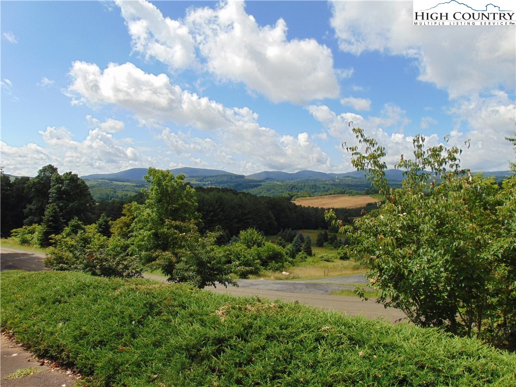 240 Hickory Mountain Road Sparta, NC 28675 - Photo 2 of 32 Gallery Image 2