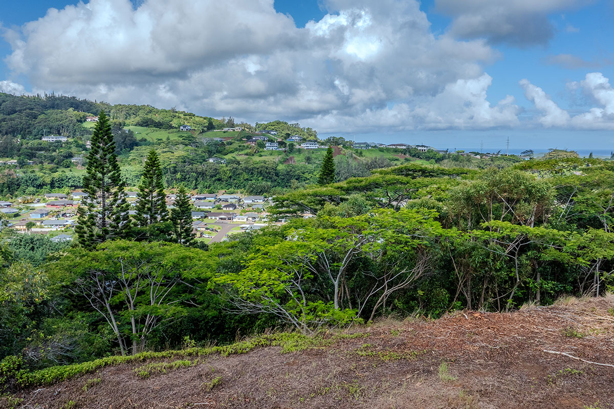3310 Wawae Road Kalaheo, HI 96741 - Photo 10 of 30