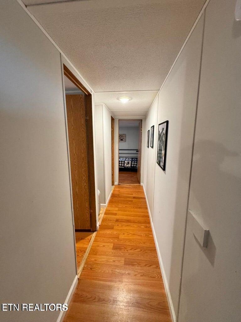1186 Shea Road Huntsville, TN 37756 - Photo 12 of 29 20260326025038553864000000-o