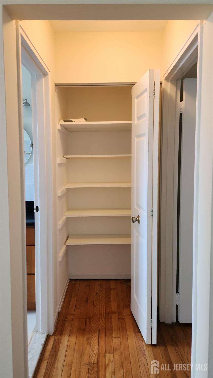 182 Evergreen Road, Unit 3A Edison, NJ 08837 - Photo 12 of 13 a view of walk in closet with empty racks