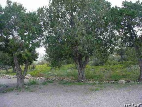 1002 Rock Ridge Road Seligman, AZ 86337 - Photo 4 of 5
