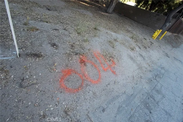 a view of a tree in the middle of a yard