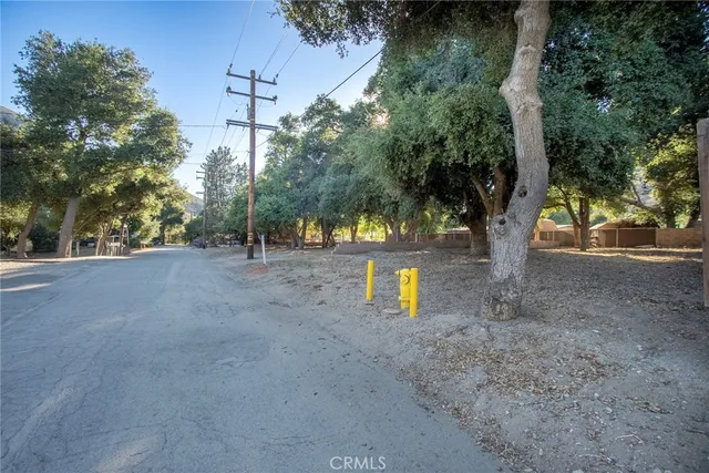 a front view of a house with a yard and potted plants