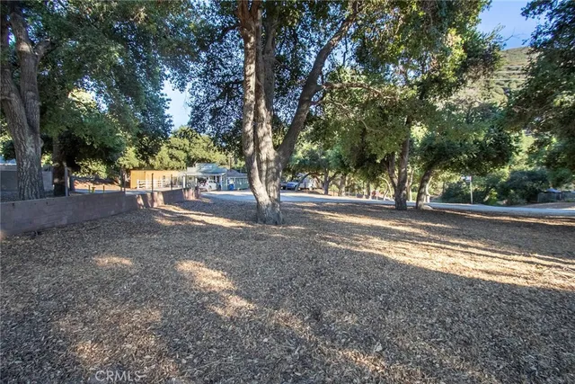 a view of dirt yard with a large tree