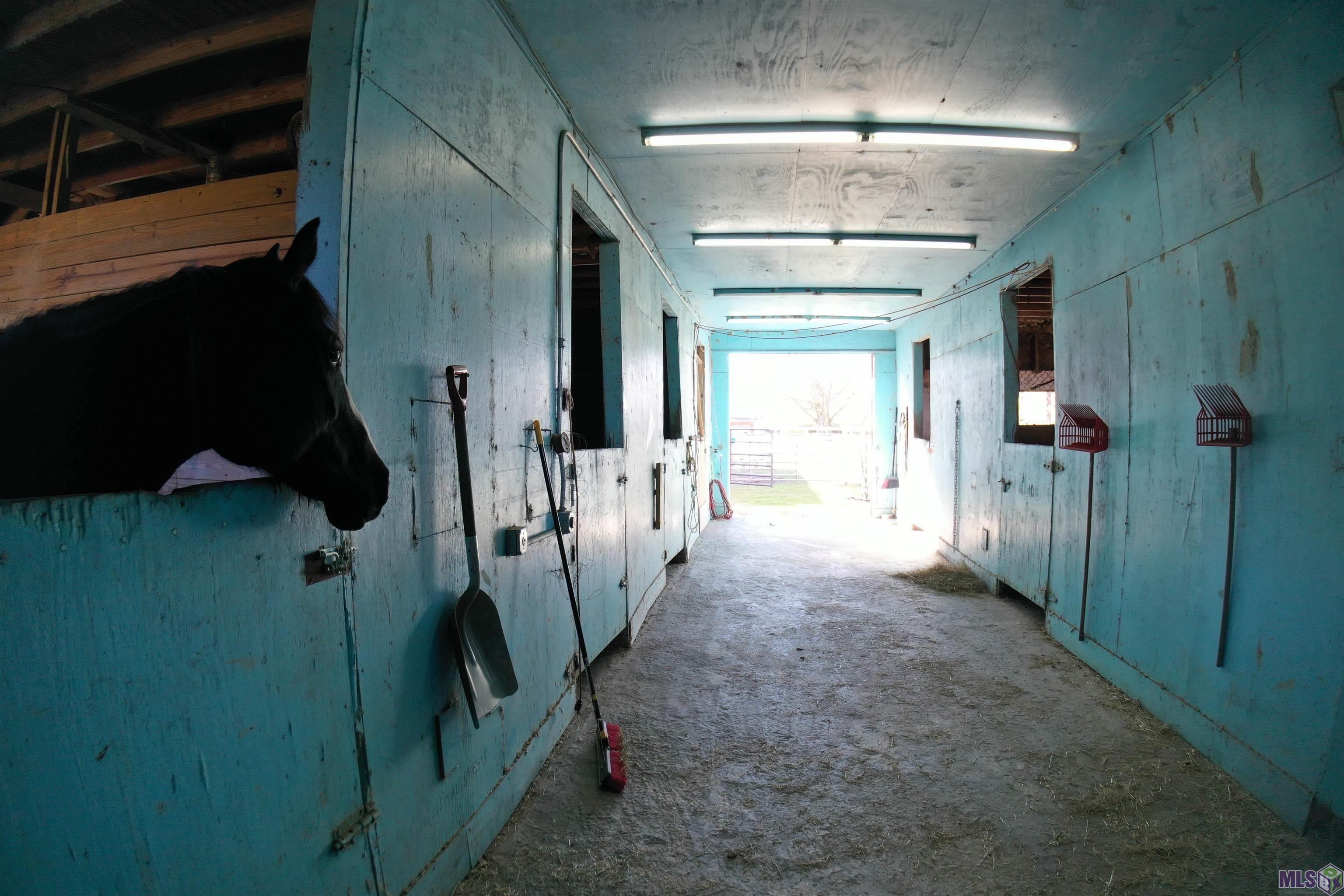 3902 Southdown Mandalay Road Houma, LA 70360 - Photo 38 of 47