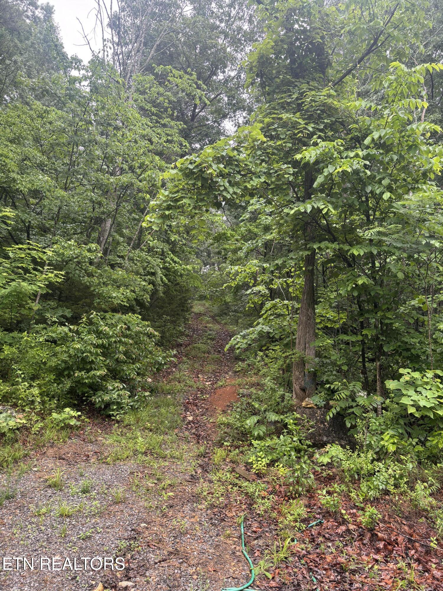 Morrell Springs Road Newport, TN 37821 - Photo 13 of 18 IMG_0078