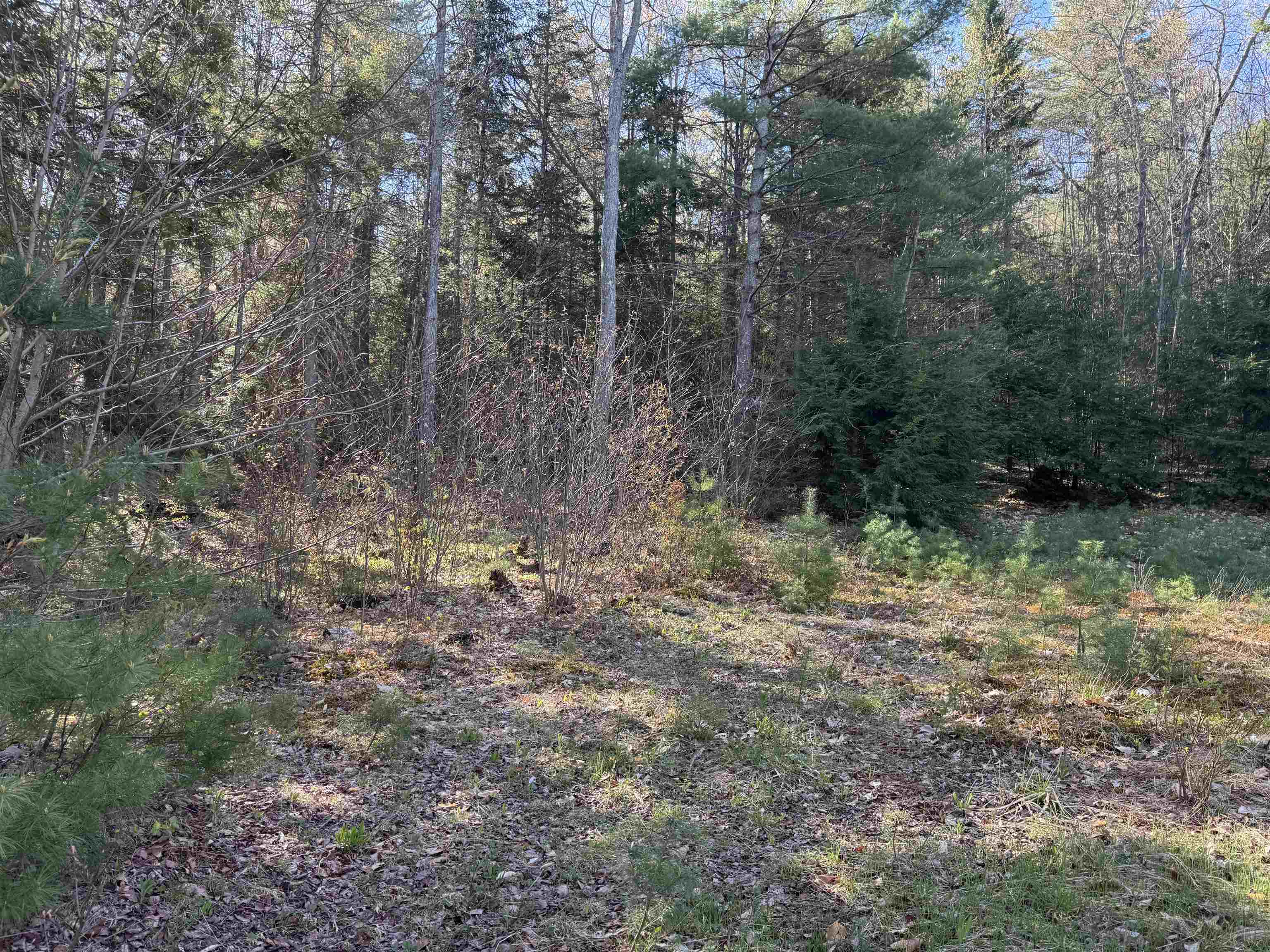807 Kidder Hood Road Bradford, VT 05033 - Photo 15 of 21