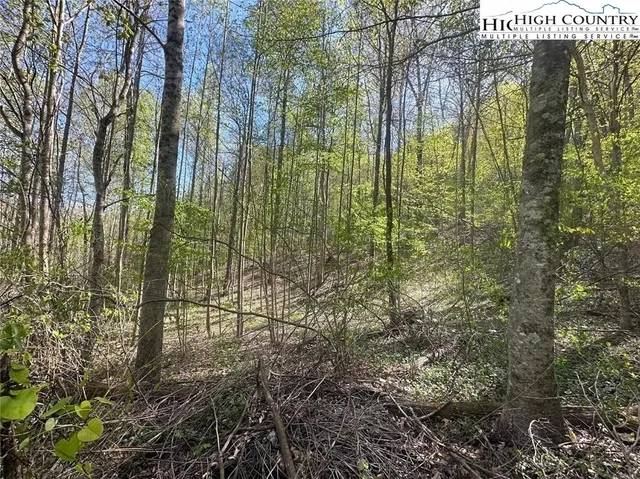 $25,000 | 27 Quail Hollow Drive, Crumpler, NC 28617