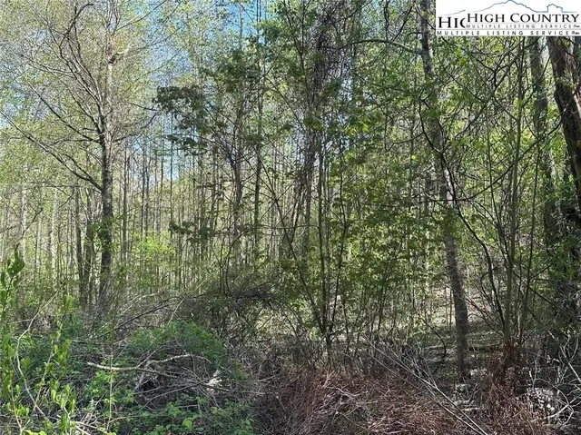 $25,000 | 27 Quail Hollow Drive, Crumpler, NC 28617