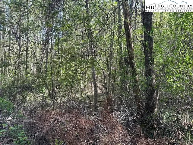 $25,000 | 27 Quail Hollow Drive, Crumpler, NC 28617