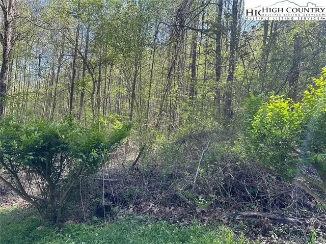 $25,000 | 27 Quail Hollow Drive, Crumpler, NC 28617