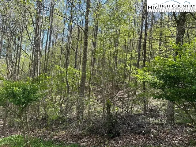 $25,000 | 27 Quail Hollow Drive, Crumpler, NC 28617