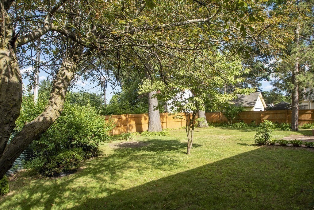 1341 Bay Street Springfield, MA 01109 - Photo 29 of 36 Gallery Image 29