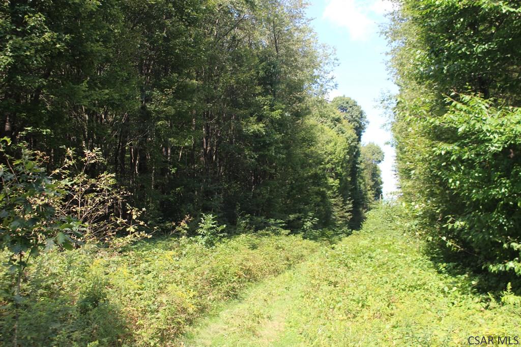 Lot # Wess Road, Unit 5 Mineral Point, PA 15942 - Photo 13 of 13