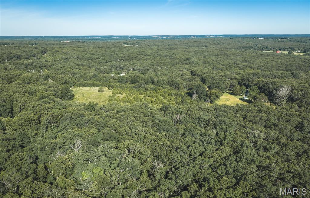 9.93-acres State Rte B St. James, MO 65559 - Photo 10 of 17