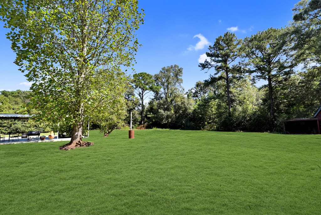 1355 Blackman Road Dothan, AL 36301 - Photo 26 of 26