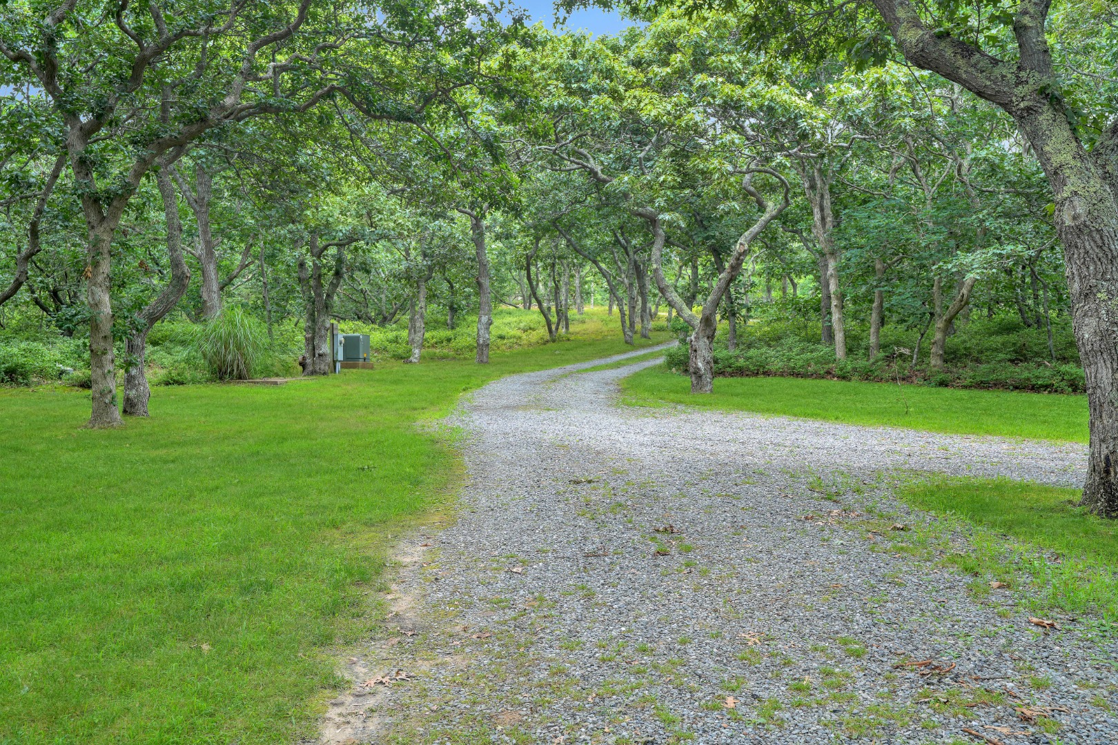 49 Tilton Road Chilmark, MA 02535 - Photo 46 of 47 View From in Front of House to the Road