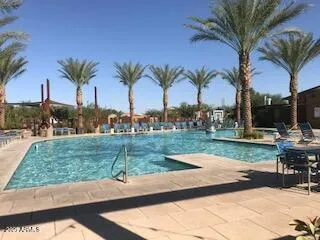 a view of a park with palm trees