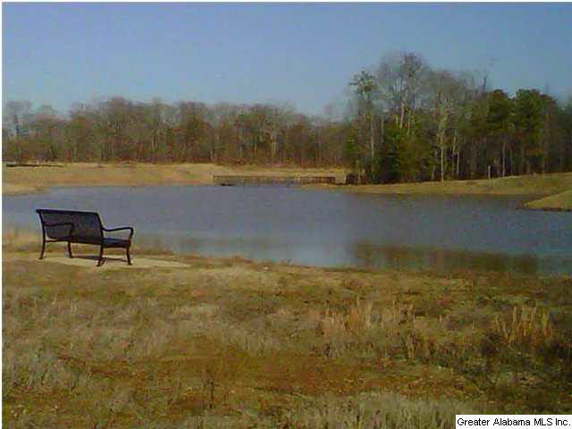 4632 Brookshire Loop Bessemer, AL 35022 - Photo 2 of 3