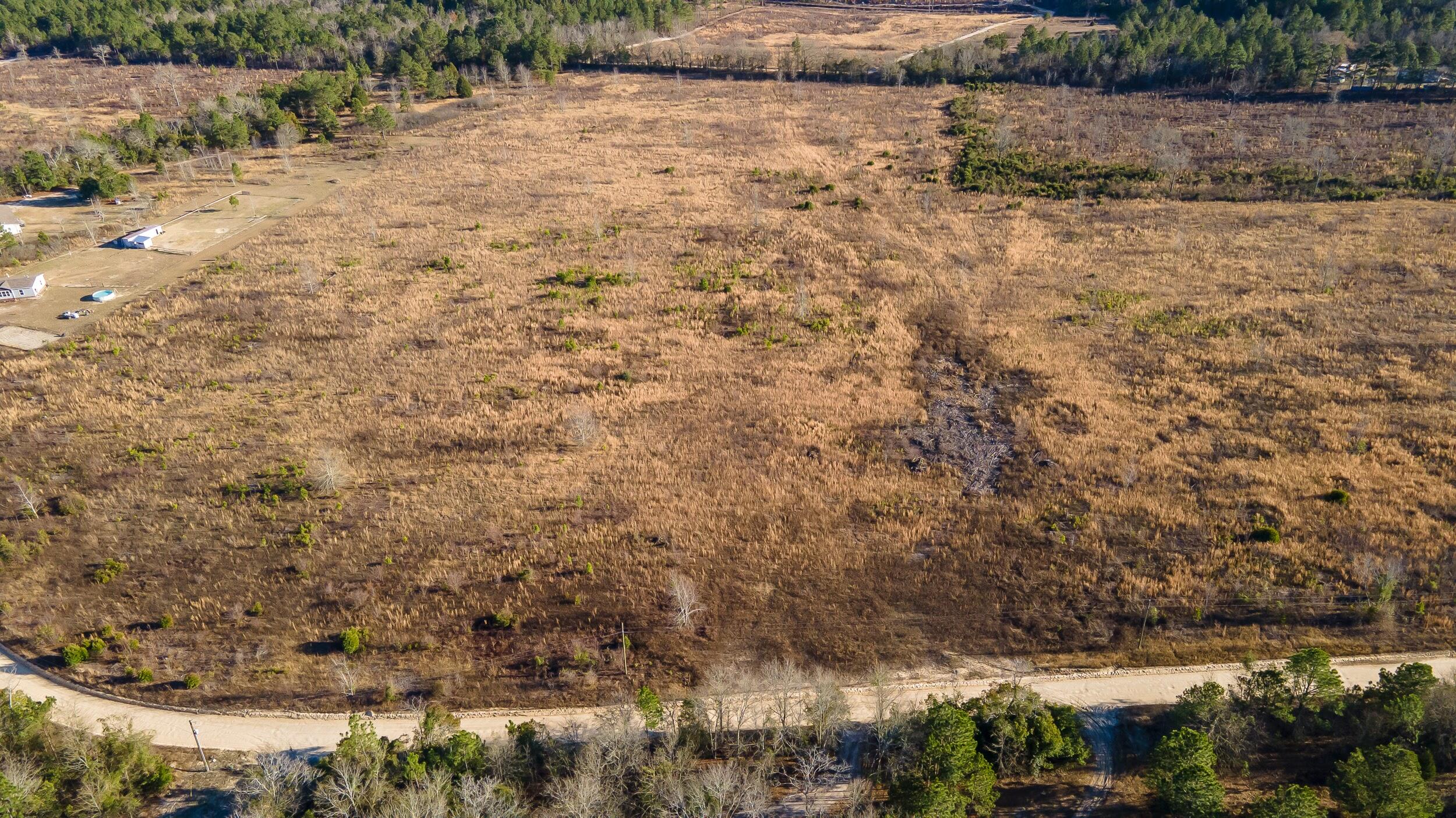 Lot 4 Old Shoals Road Monetta, SC 29105 - Photo 1 of 18
