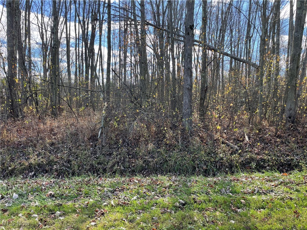 186 Ashtabula Point Rome, OH 44085 - Photo 1 of 1 Gallery Image 1