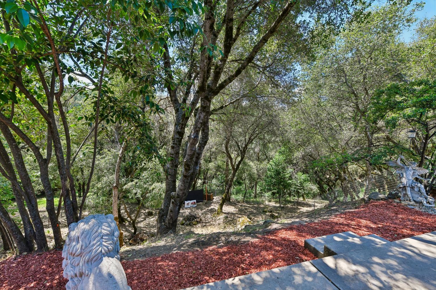 3596 Cedar Ravine Road Placerville, CA 95667 - Photo 22 of 26