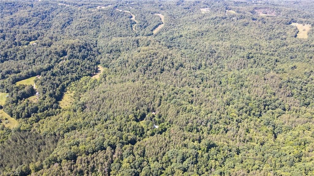1215 Lucius Beasley Road Westfield, NC 27053 - Photo 6 of 25