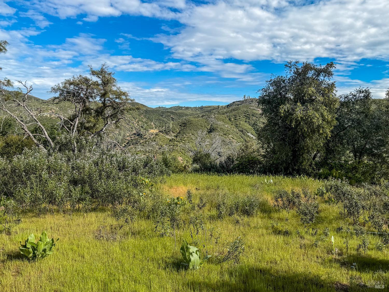 14515 Big Canyon Road Middletown, CA 95461 - Photo 18 of 23 a view of an outdoor space and a yard