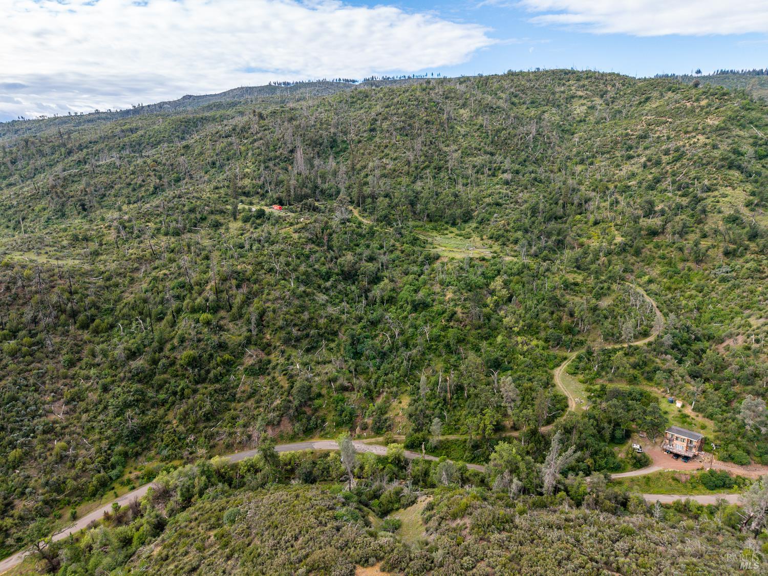 14515 Big Canyon Road Middletown, CA 95461 - Photo 20 of 23 a view of a forest with a lush green forest