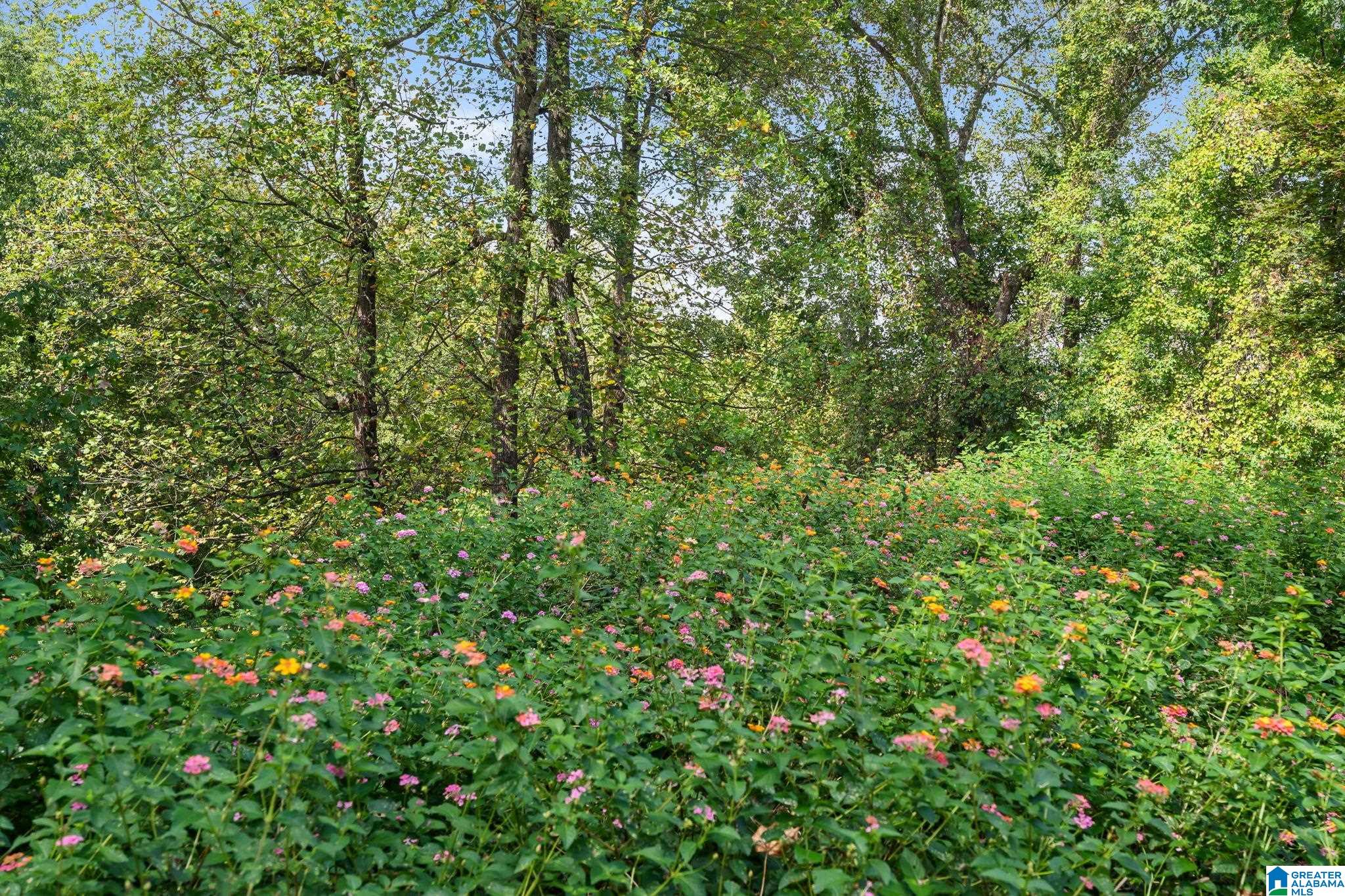 1020 Stagg Run Trail Pelham, AL 35124 - Photo 40 of 43