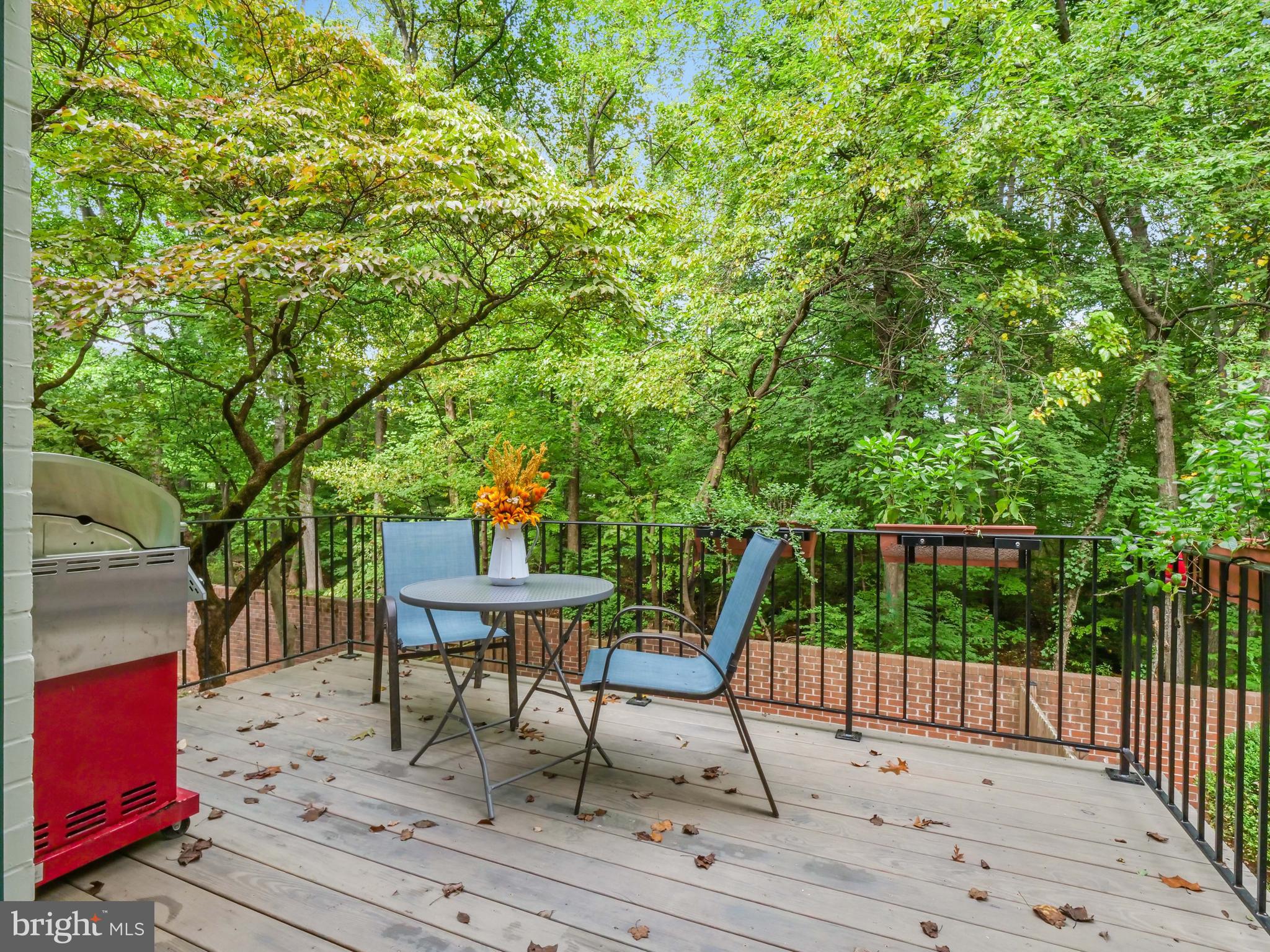 1835 Wainwright Drive Reston, VA 20190 - Photo 12 of 51 Look at those trees!