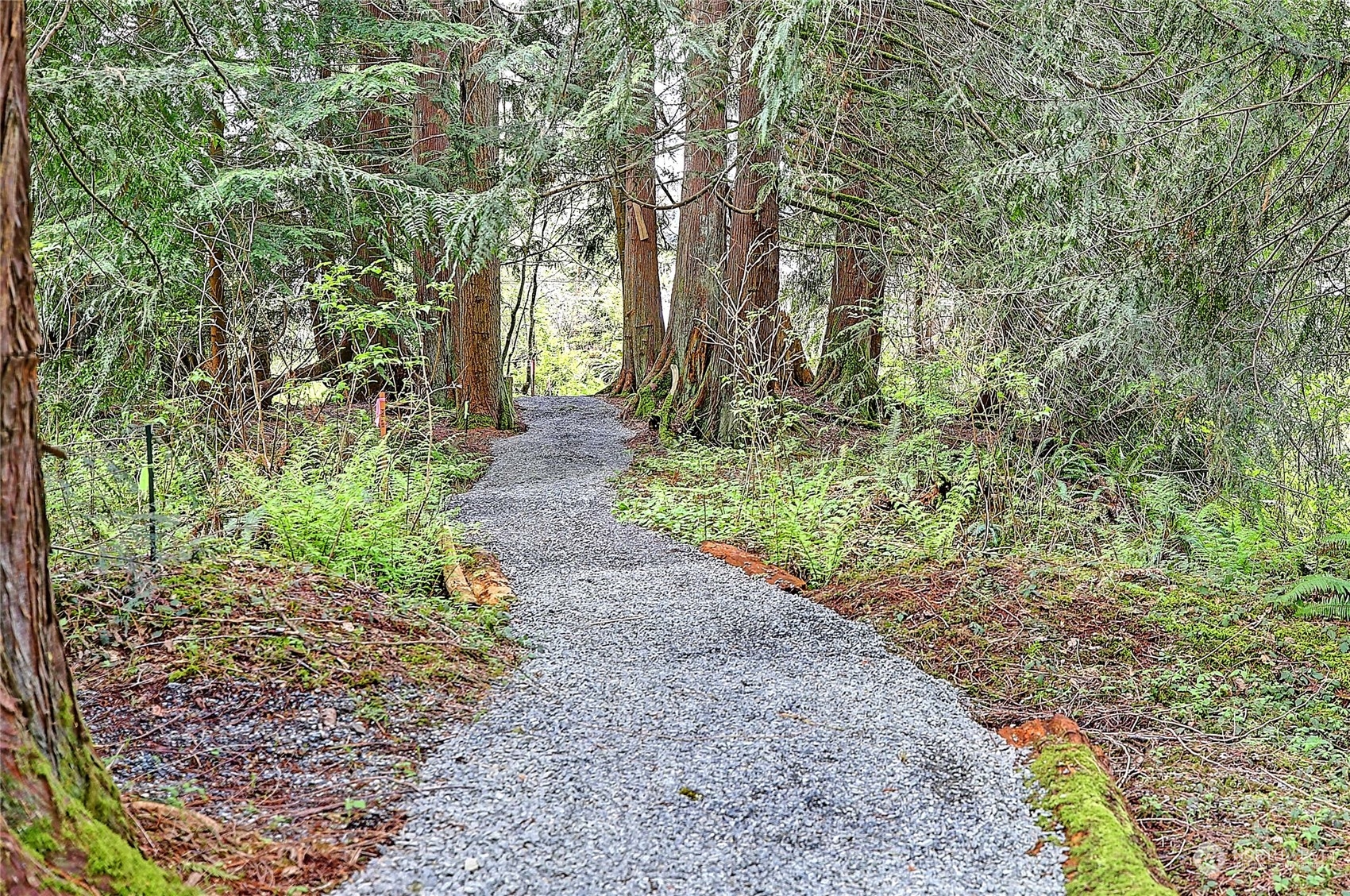 18818 Lerch Road Snohomish, WA 98290 - Photo 28 of 36 a pathway of a garden