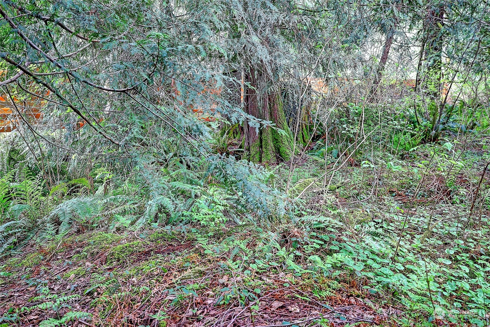 18818 Lerch Road Snohomish, WA 98290 - Photo 33 of 36 a view of a garden