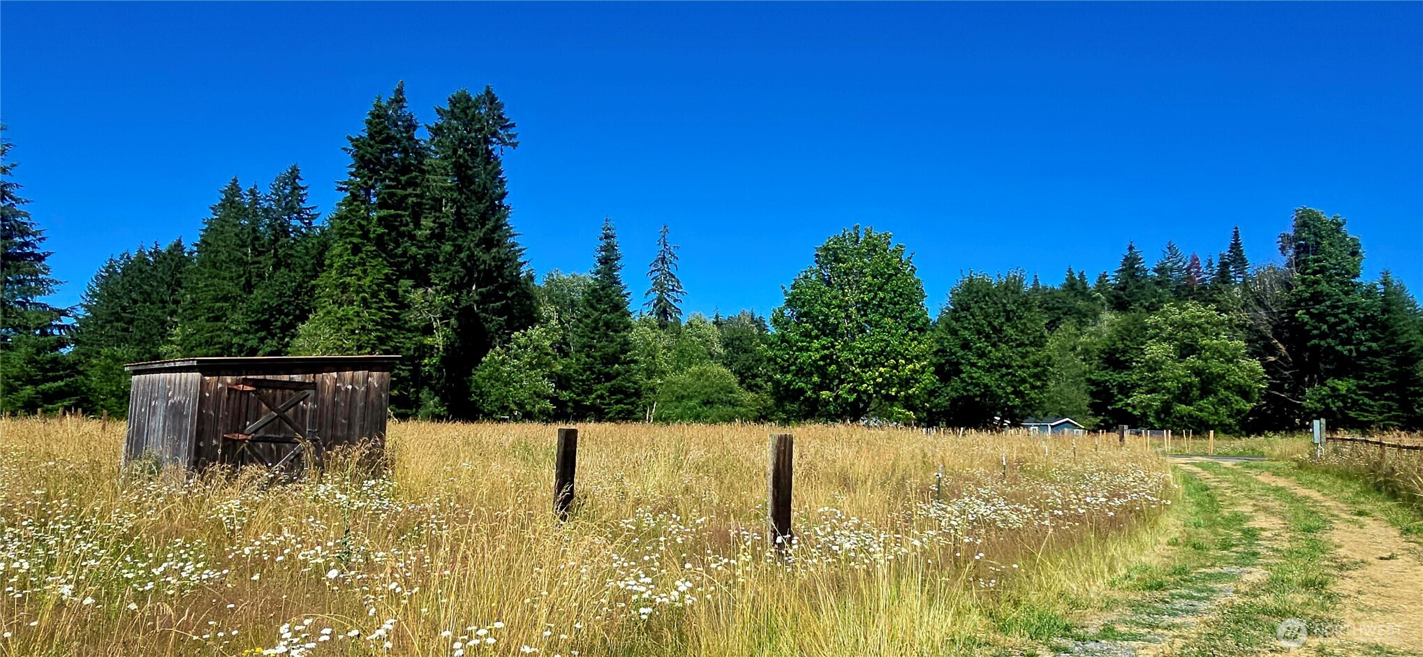 413 Manners Road Rochester, WA 98579 - Photo 1 of 8